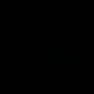 Meet your Posher, Rawley